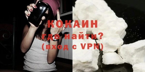 сатива Мегион