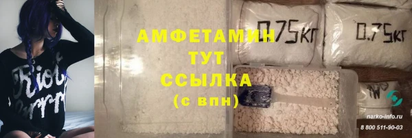 сатива Мегион