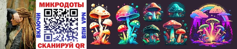 купить наркоту  Тогучин  shop наркотические препараты  Псилоцибиновые грибы Psilocybe 
